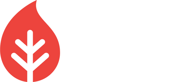 PyFi